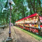 Parcul Cancicov