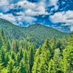 Muntii din zona Brasov