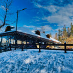 02/22-Gura Humorului