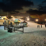 Partia Soimul - night