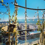 Zona centru Piatra Neamt